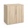American Elm